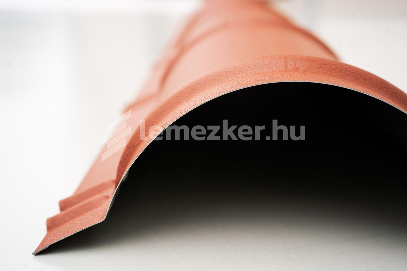 Íves gerincelem - 11